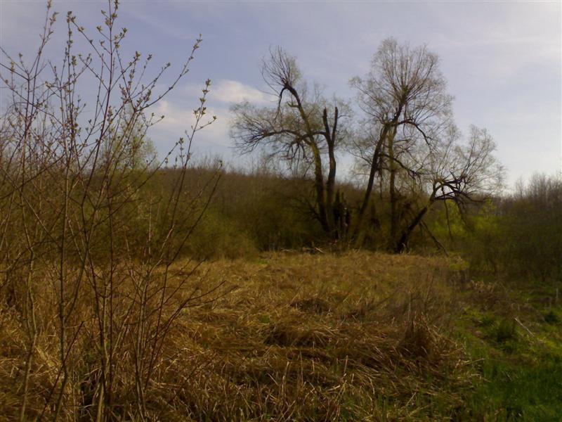 200704091760 .jpg
